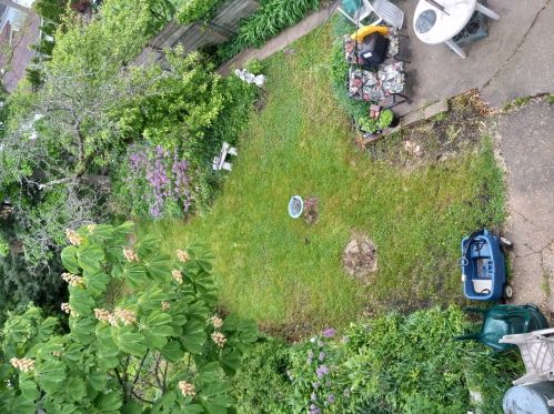 6125 Hermitage Ave, Chicago, IL 60660-2305