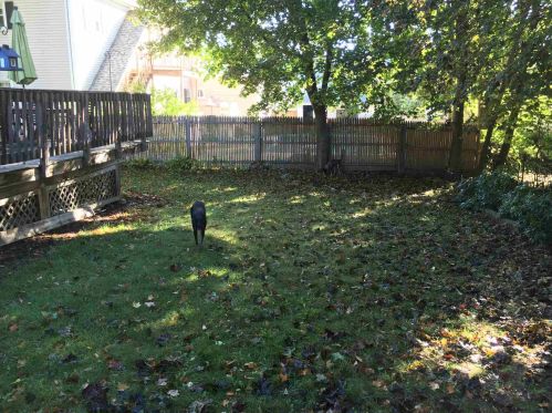 5 Perkins St, Concord NH 03301-4520 exterior