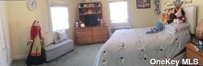 144 Carpenter St, Valley Stream NY 11580-4403 exterior