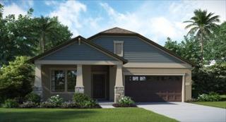 19442 Paddock View Dr, Tampa, FL 33647-3741