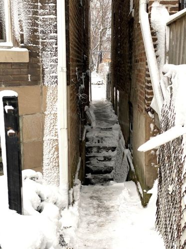 4029 Harrison St, Chicago IL 60607-3105 exterior