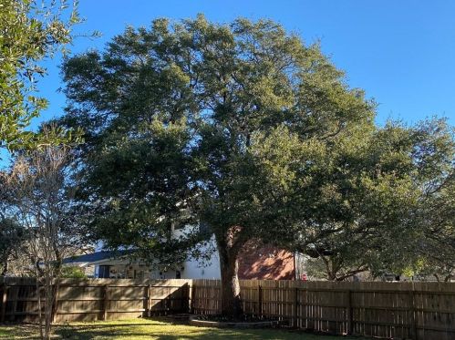 6804 Auckland Ct, Austin TX 78749-4135 exterior