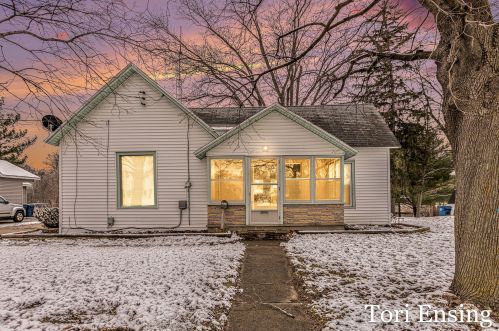 425 Birch St, Belding, MI 48809-1969