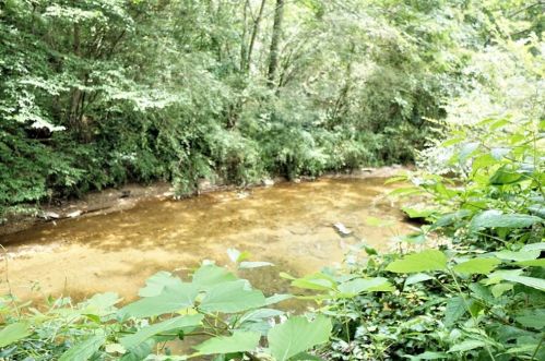 290 Mark Trail Ct, Atlanta, GA 30328-2106