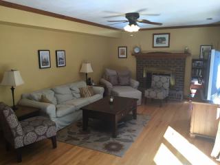 4601 Hill Spring Ter, Chester VA  23831-8015 exterior