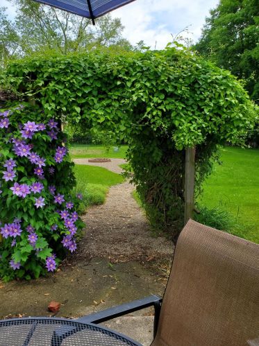 313 G Ave, Kalamazoo MI 49004-2119 exterior