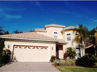 18008 Lanai Isle Dr, Tampa FL  33647-3377 exterior