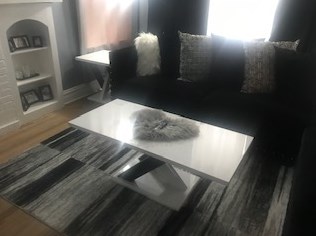 5114 Avers Ave, Chicago IL  60625-6015 exterior