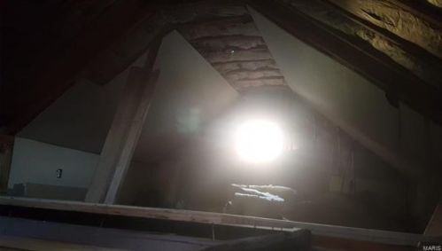 7113 Alabama Ave, Saint Louis MO 63111-3025 exterior