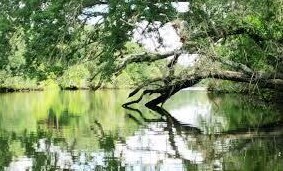 341 Springview Loop, Fort Pierce FL  34986-2664 exterior