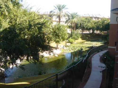 2989 44th St, Phoenix AZ 00000-7203 exterior