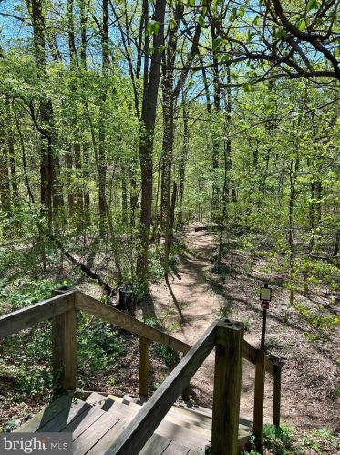 4200 Cathedral Ave, Washington DC  20016-4933 exterior