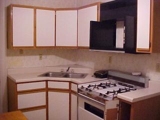 247 Dilworth St, Pittsburgh PA  15211-1831 exterior