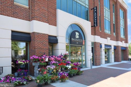 827 Royal St, Alexandria VA  22314-4340 exterior