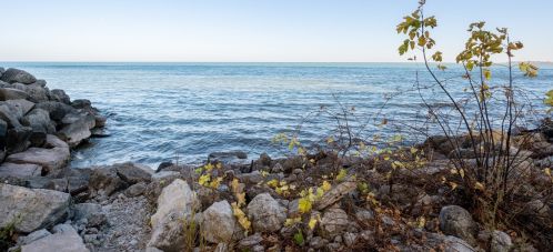 6118 Sheridan Rd, Chicago IL  60660-2884 exterior