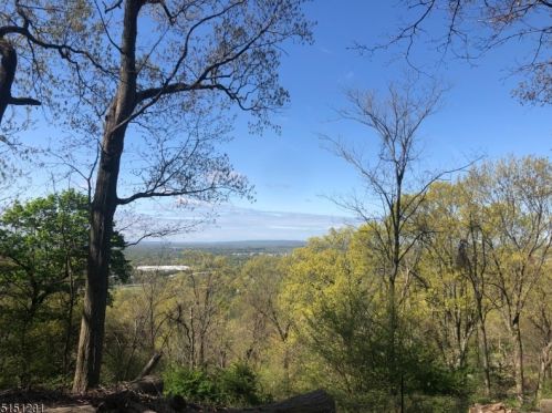 1916 Mtn Top Rd, Bridgewater NJ 08807-1836 exterior