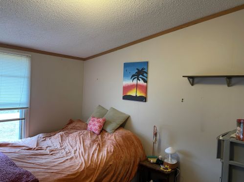 11495 215th Ave, Big Rapids MI  49307-9427 exterior