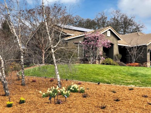 3007 Honey Cir, Folsom CA 95762-6324 exterior