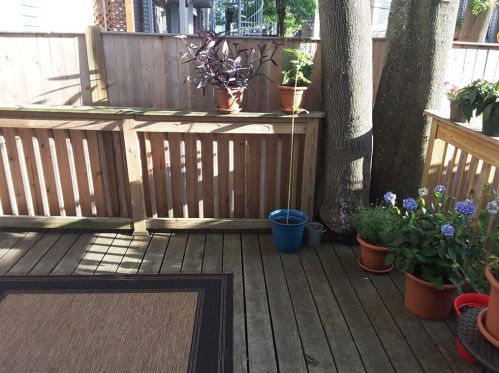 7 O St, Boston MA  exterior