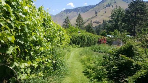 179 Old Pollock Rd, Pollock, ID 83547-5004