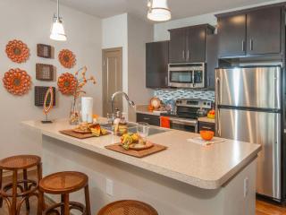 13401 Legendary Dr, Austin TX  78727-3907 exterior