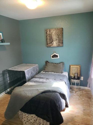 16661 Hammon, Montgomery TX 77316-6719 exterior