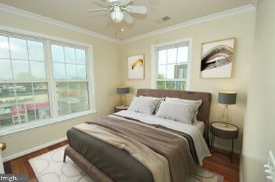 11412 Grandview Ave, Silver Spring MD 20902-2742 exterior