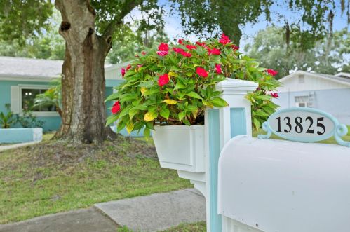 13825 Cherry Brook Ln, Tampa FL  33618-2133 exterior