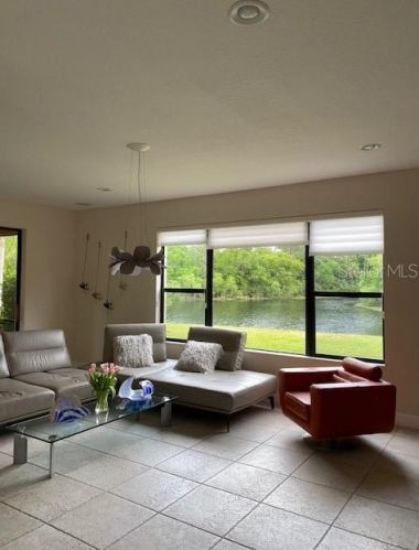 20323 Chestnut Grove Dr, Tampa FL  33647-3345 exterior