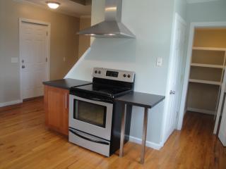 919 Eleanor St, Pittsburgh PA  15203-2460 exterior