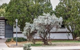 4934 Highland Dr, Tucson AZ  85706-1409 exterior