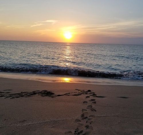 2400 Ocean Dr, Fort Pierce FL  81111-8018 exterior