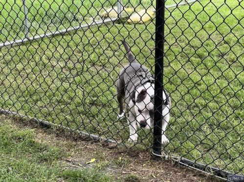 202 Nelson Ct, Edgewater NJ  07020-1631 exterior