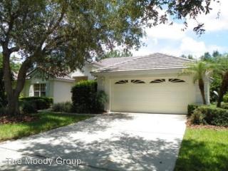 17809 Hickory Moss Pl, Tampa FL  33647-2285 exterior