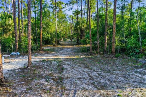 4011 8 Ave, Naples FL 34117-4993 exterior