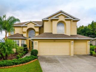 4320 Wildstar Cir, Zephyrhills, FL 33544-8859