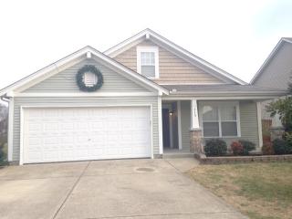 315 Stewart Springs Dr, Smyrna TN  37167-7708 exterior