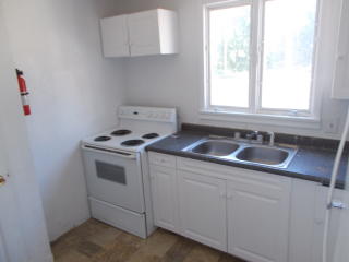 225 Old Orchard Pl, Kalamazoo MI  49007-3717 exterior