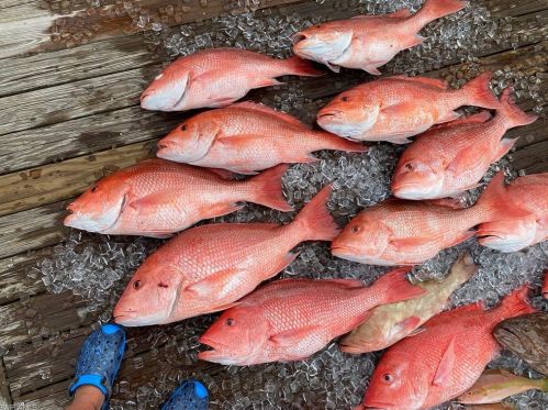 34 Dolphin Cir, Naples FL 34113-4048 exterior