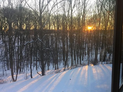 1621 Falcon Crest Dr, Grand Rapids MI 49525-7011 exterior