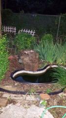 8918 Daytonia Ave, Dallas TX  75218-4112 exterior