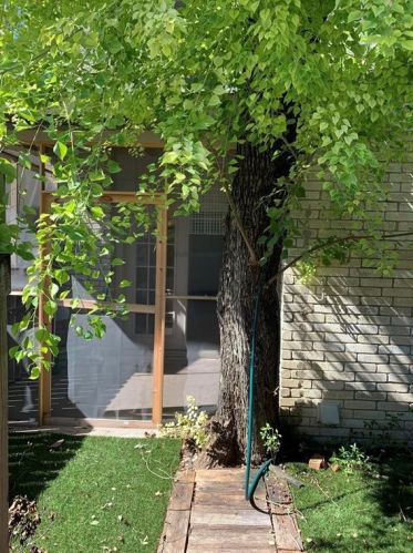 8811 Dawnridge Cir, Austin TX  78757-6847 exterior