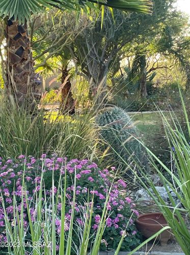 11160 Camino De La Tierra, Tucson AZ  85742-9722 exterior