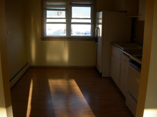 3157 Lockwood Ave, Chicago IL  60641-4957 exterior