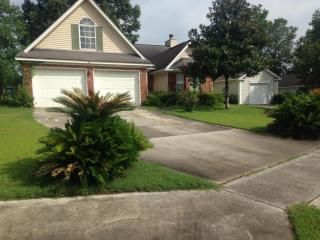 140 Droos Way, Charleston, SC 29414-6859