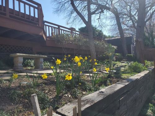 12231 Cross Creek Dr, Dallas TX  75243-4603 exterior