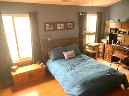 602 Silver Leaf Dr, Joliet IL 60431-8317 exterior