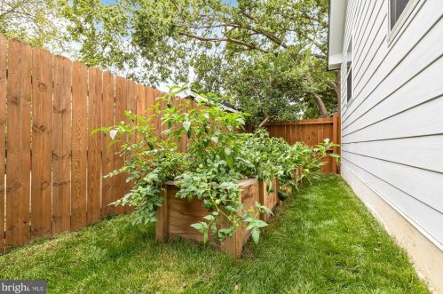 4624 Asbury Pl, Washington DC  20016-4325 exterior