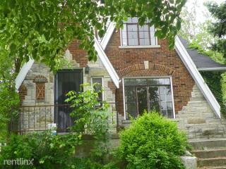 6305 Woodhall St, Detroit MI  48224-1217 exterior