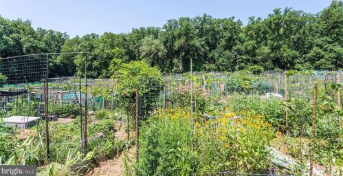 4114 Davis Pl, Washington DC  20007-1251 exterior